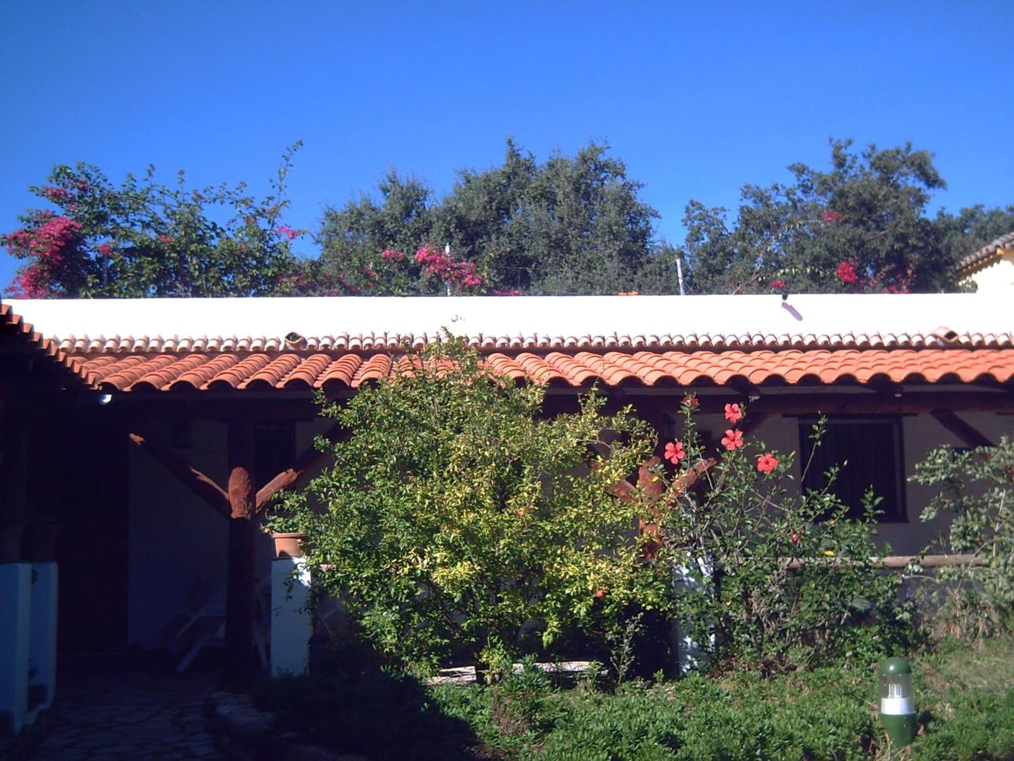 Finca El Abuelo バルバテ エクステリア 写真